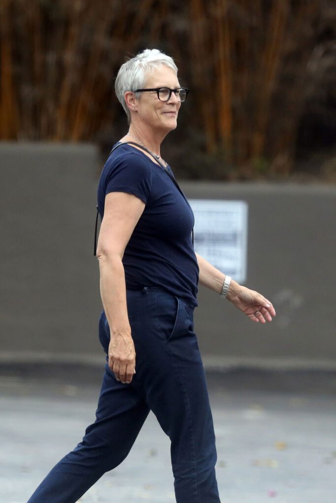 Jamie Lee Curtis Net Worth 2 Jamie Lee Curtis Net Worth