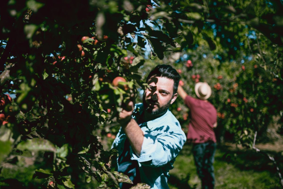 Fruit Picker in Canada apply online