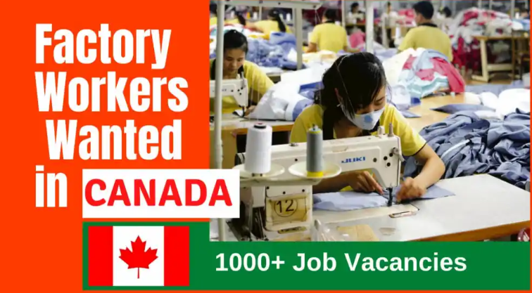 Factory Worker Job In Canada